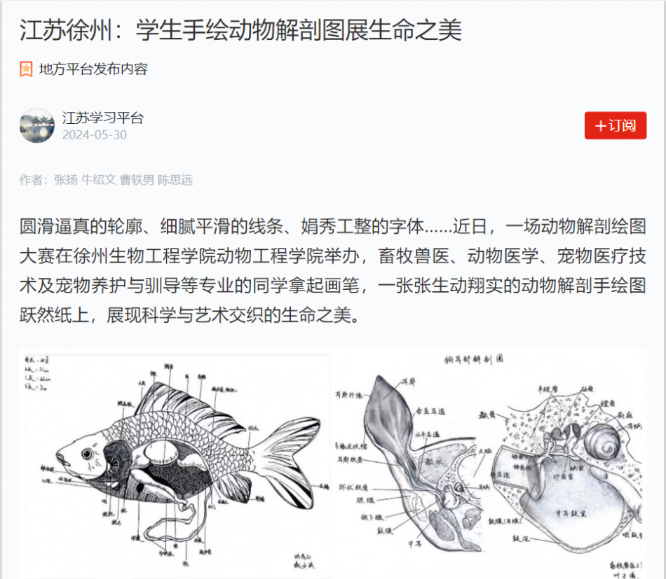 【學(xué)習(xí)強(qiáng)國(guó)】江蘇徐州：學(xué)生手繪動(dòng)物解剖圖展生命之美